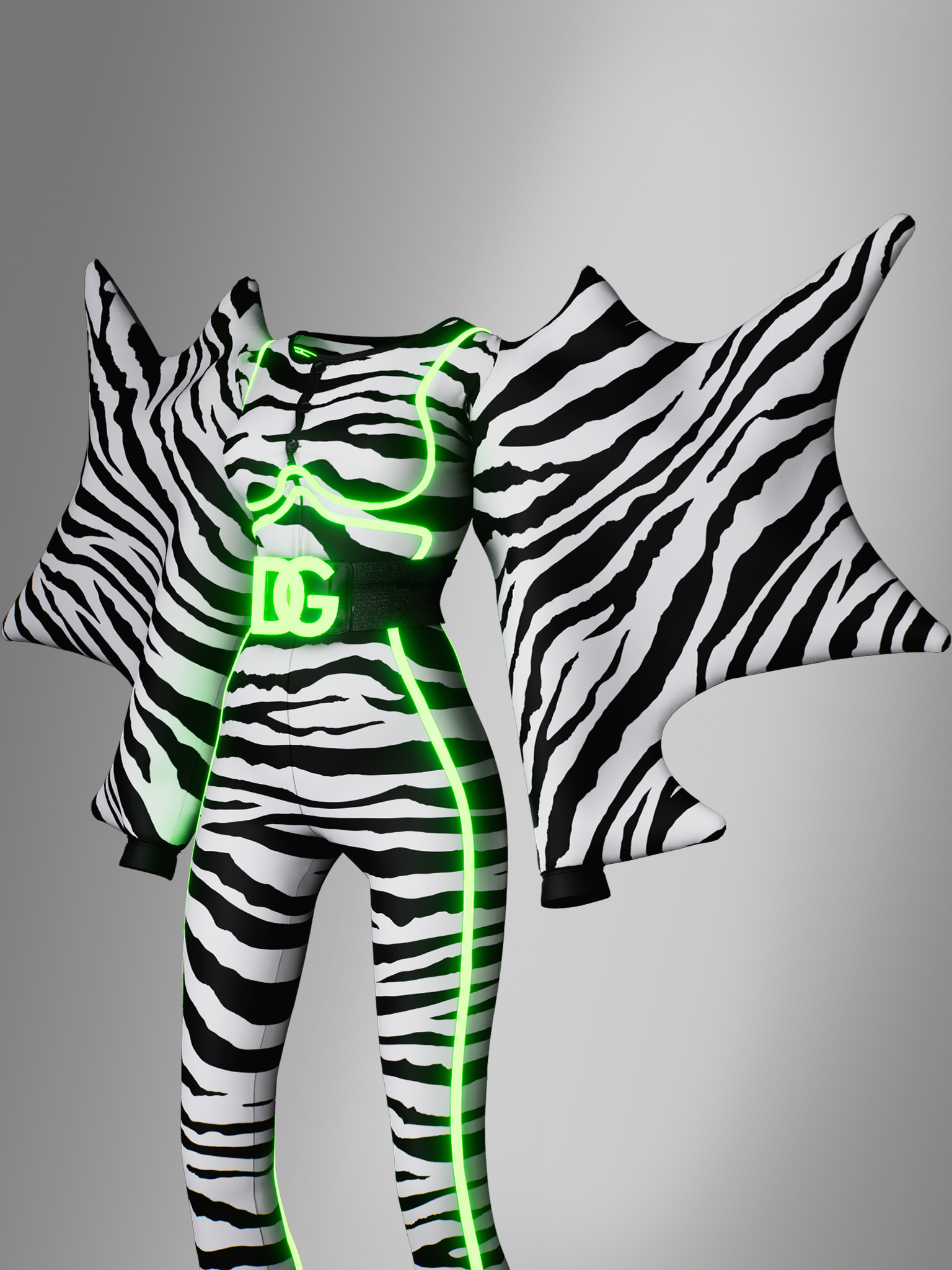 Disco Zebra cover