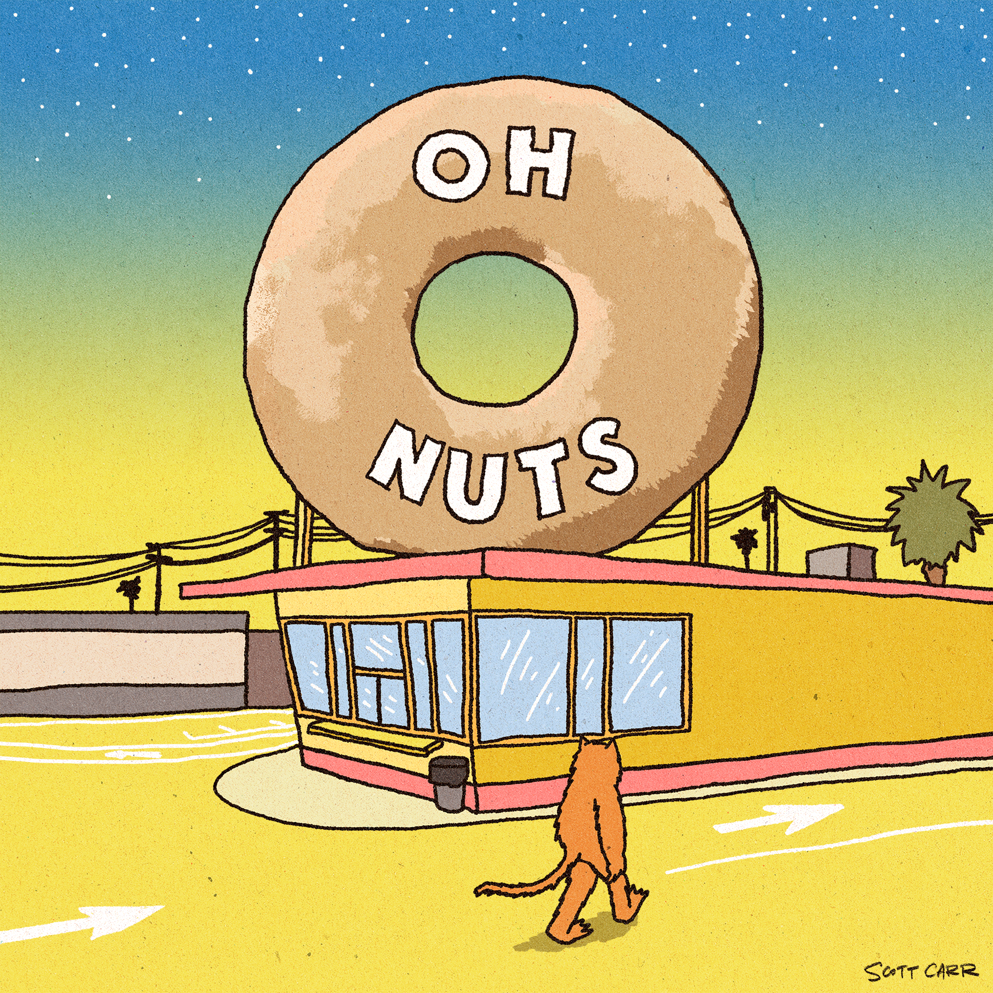 Oh Nuts cover