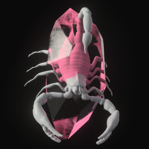 FVCK_CRYSTAL// #2797 cover