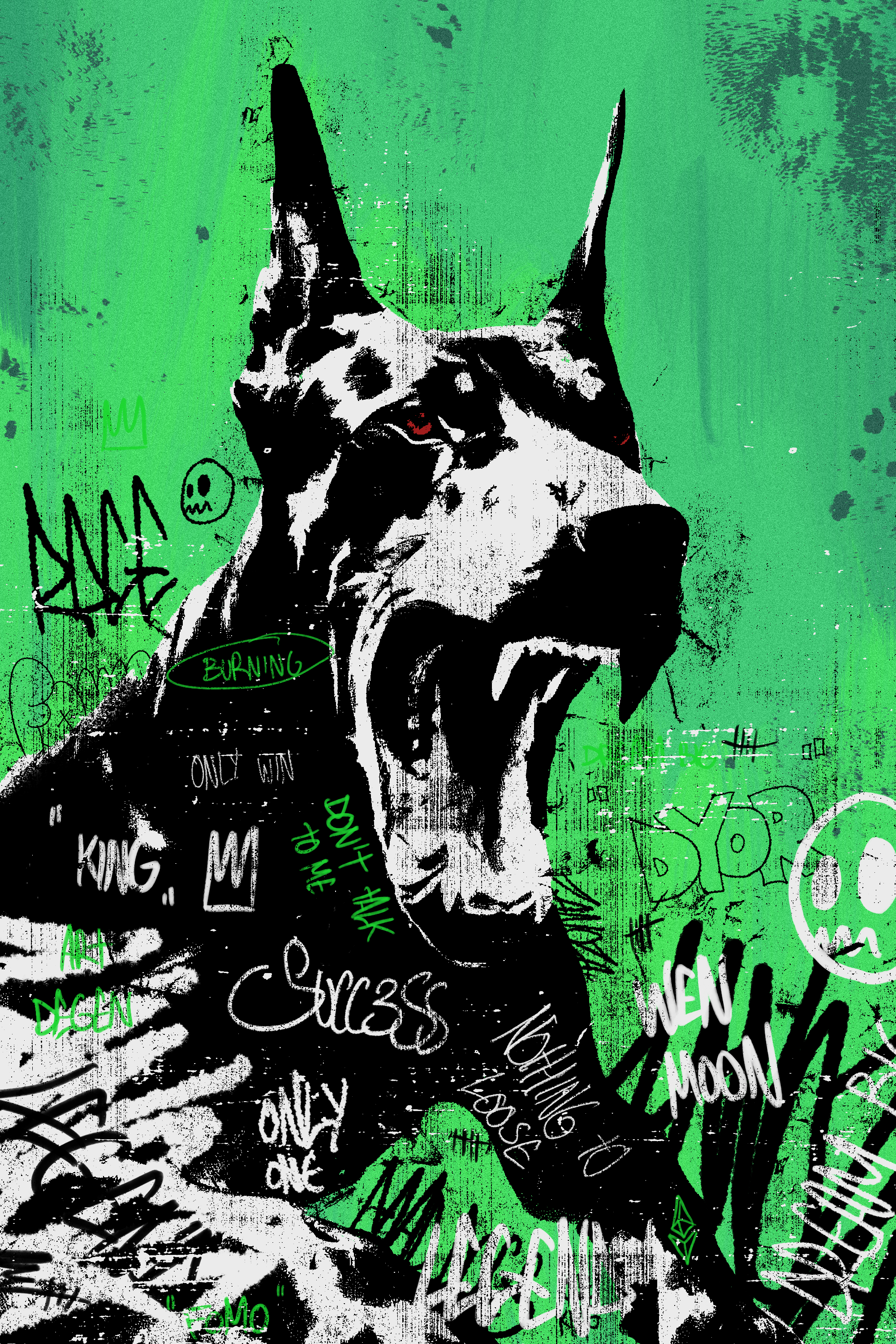Rage of victory  cover