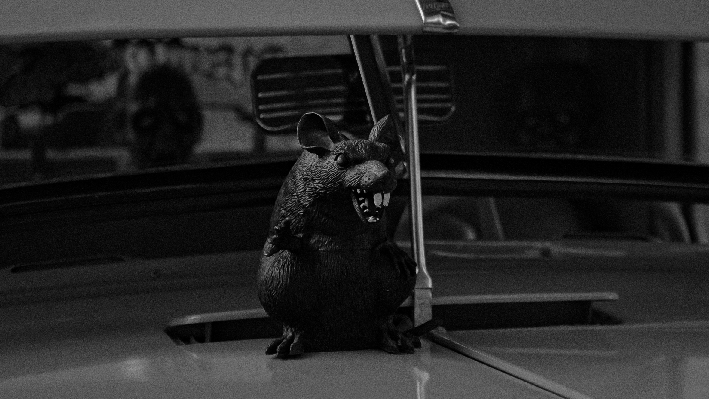 WATCH OUT FOR RATS. cover