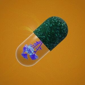 BYOPILL 9992 cover