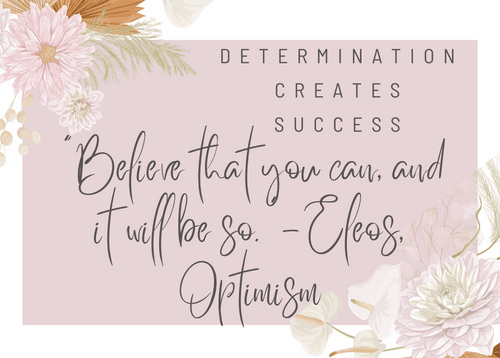Determination Creates Success cover