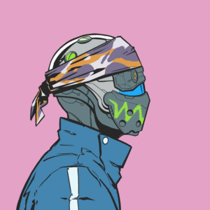 DR/VR #2855 cover
