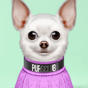 Pup #9564 cover