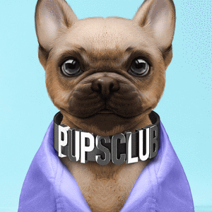Pup #9617 cover