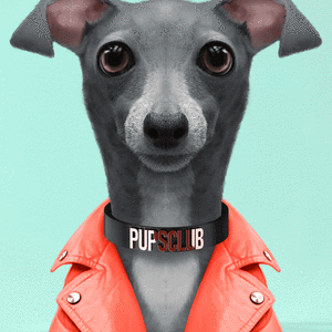 Pup #9497 cover