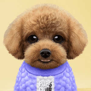 Pup #9500 cover
