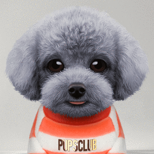 Pup #9668 cover