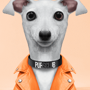 Pup #9640 cover