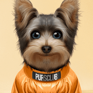 Pup #9592 cover