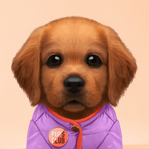 Pup #9463 cover