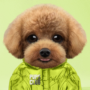 Pup #9440 cover