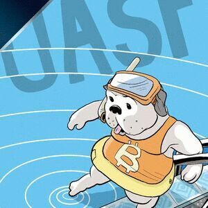 UASF cover