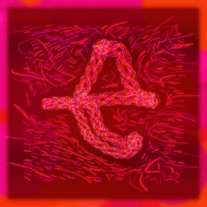 Friendship Bracelets #1604 cover