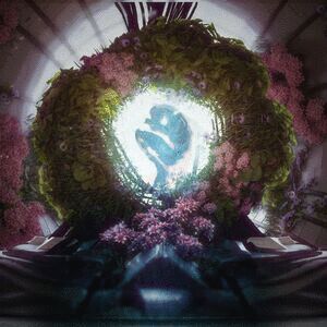 Chrysalis cover