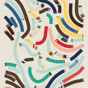 Fidenza #868 cover