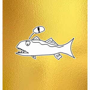 Brilliant Barracuda cover