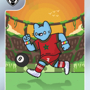 Cool Cats Football Club #2991 cover
