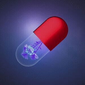 BYOPILL 9402 cover
