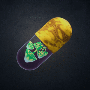 BYOPILL 9502 cover