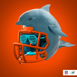 Dolphins #27 cover