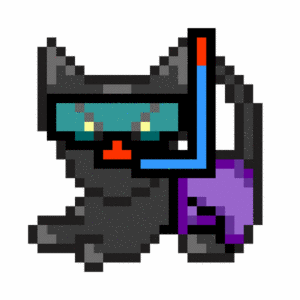 Cat #607 cover