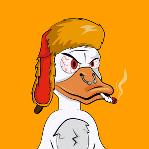 Slacker Duck #5800 cover