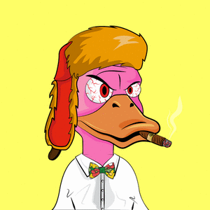 Slacker Duck #5785 cover