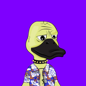 Slacker Duck #5899 cover