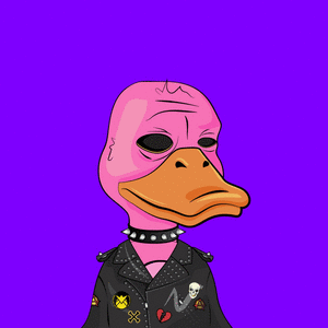 Slacker Duck #5794 cover