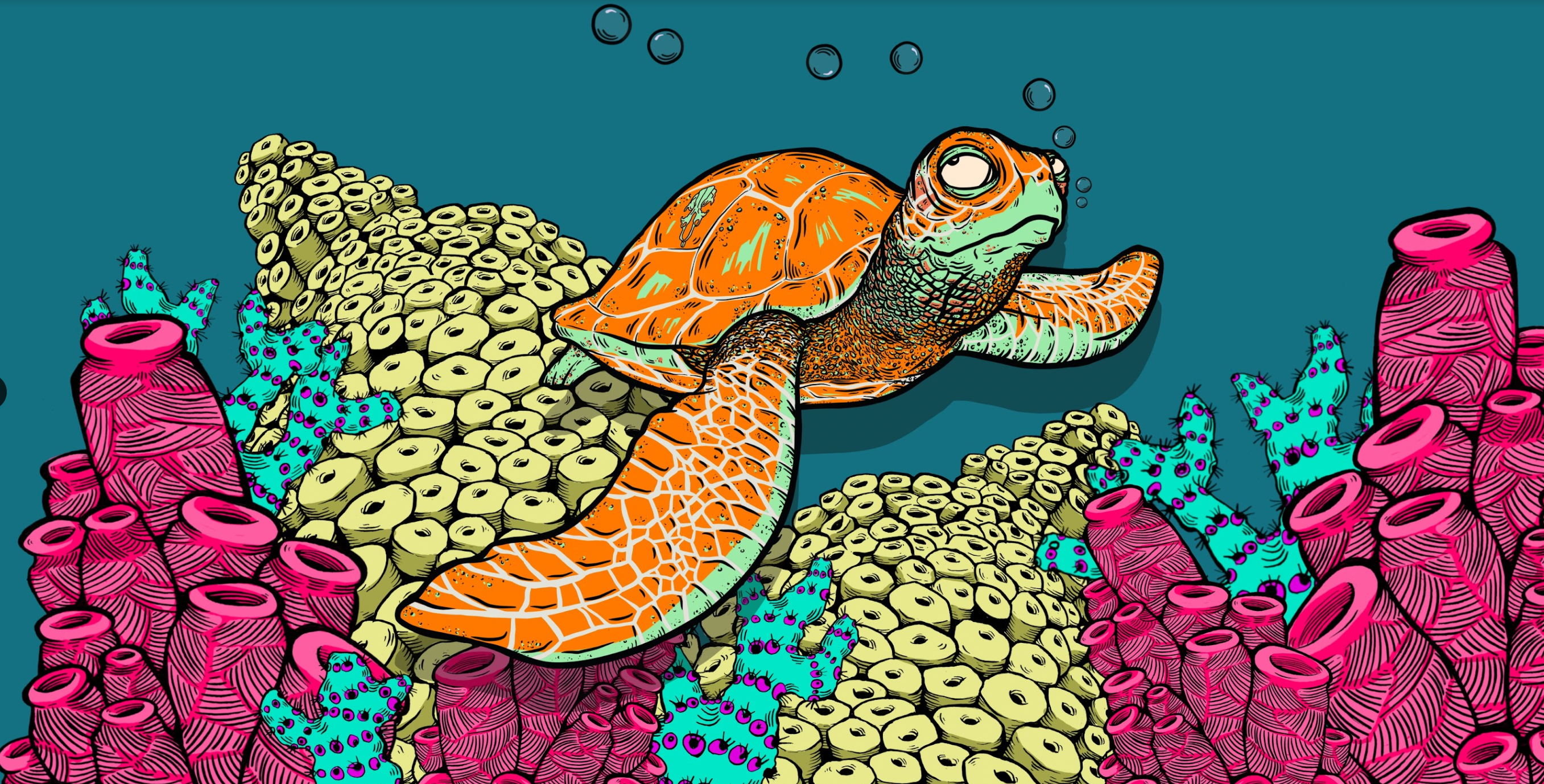 Turtledum of Honolua Bay cover