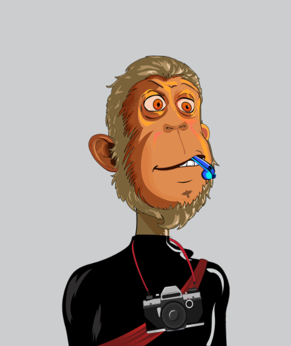 Misfits Ape Society cover
