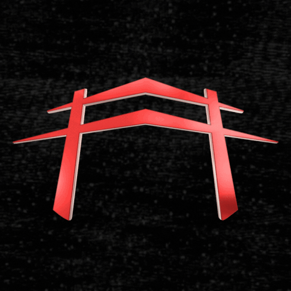 SHINOBIS cover
