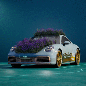 PORSCHΞ 911 7181 cover