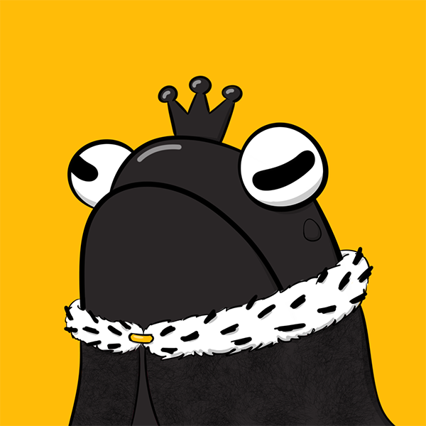 Fly Frog #16 cover