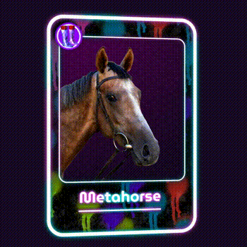 Metahorse Jockey Club cover