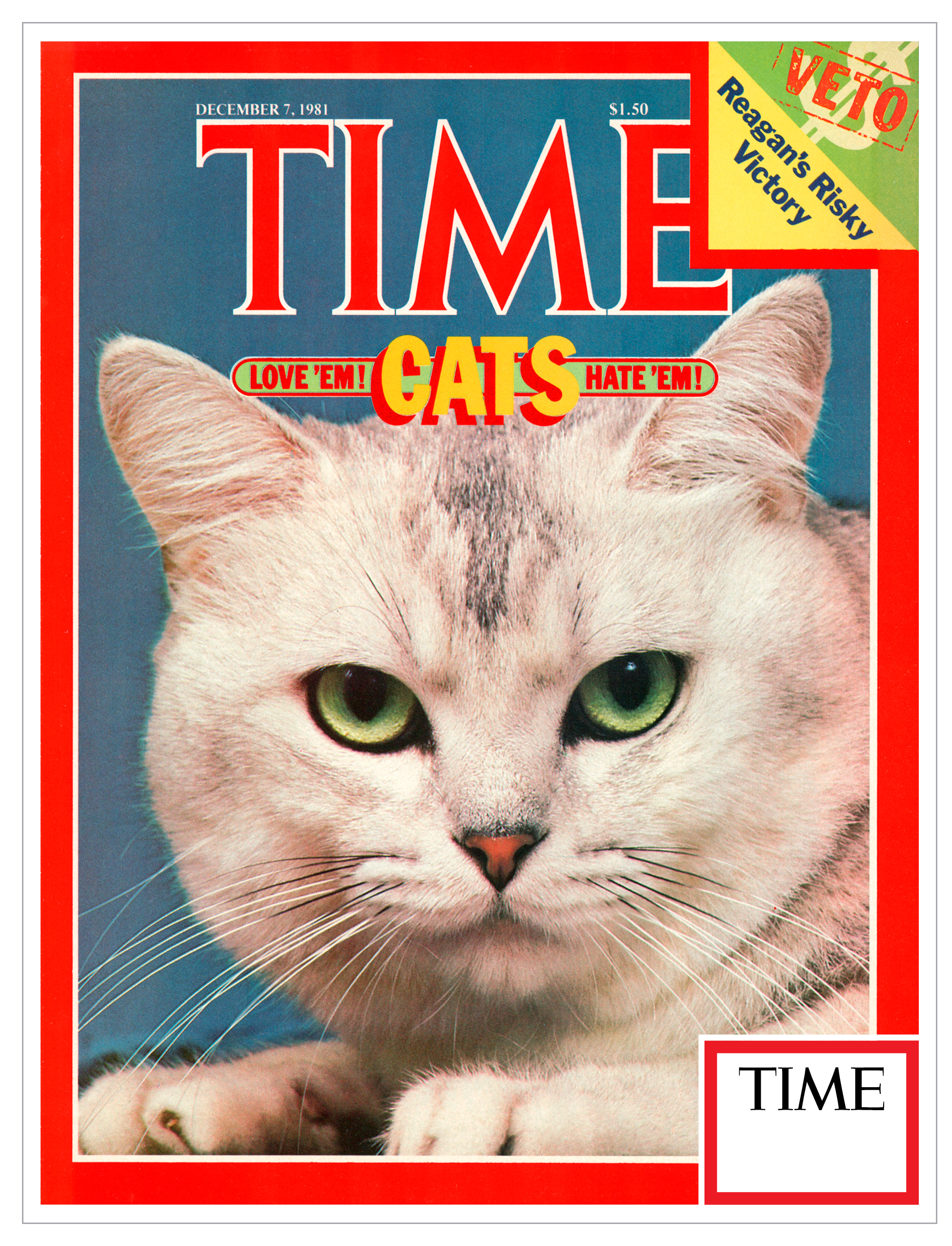 TIME Cats Love 'em! Hate 'em! - December 7th, 1981 cover