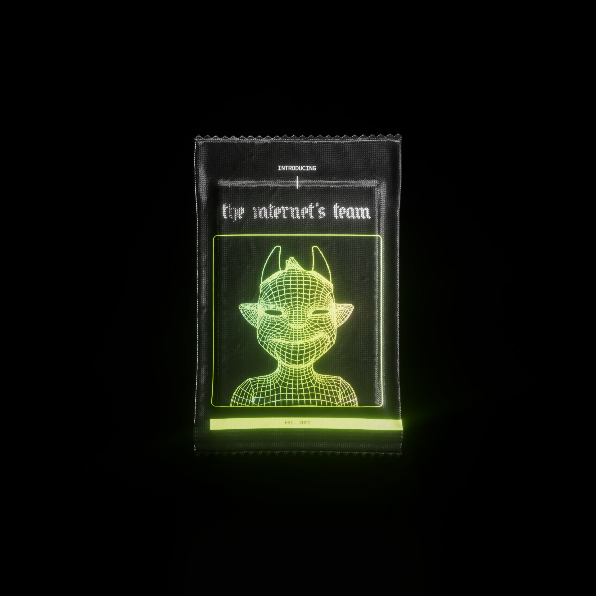 The Internet's Team cover