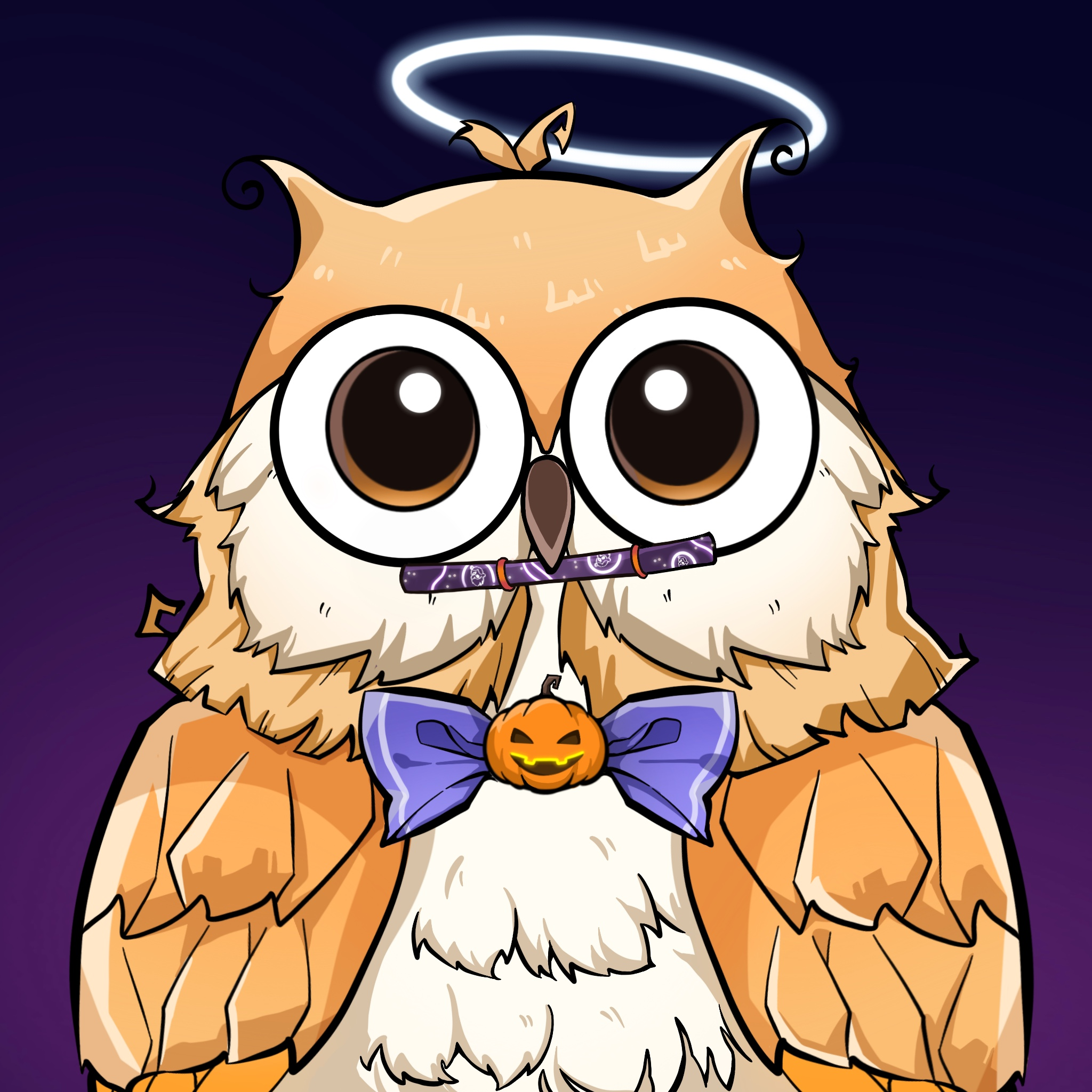 Hello Owl cover