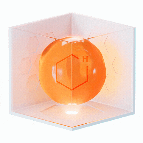 Honey Processor: Phase 1 cover