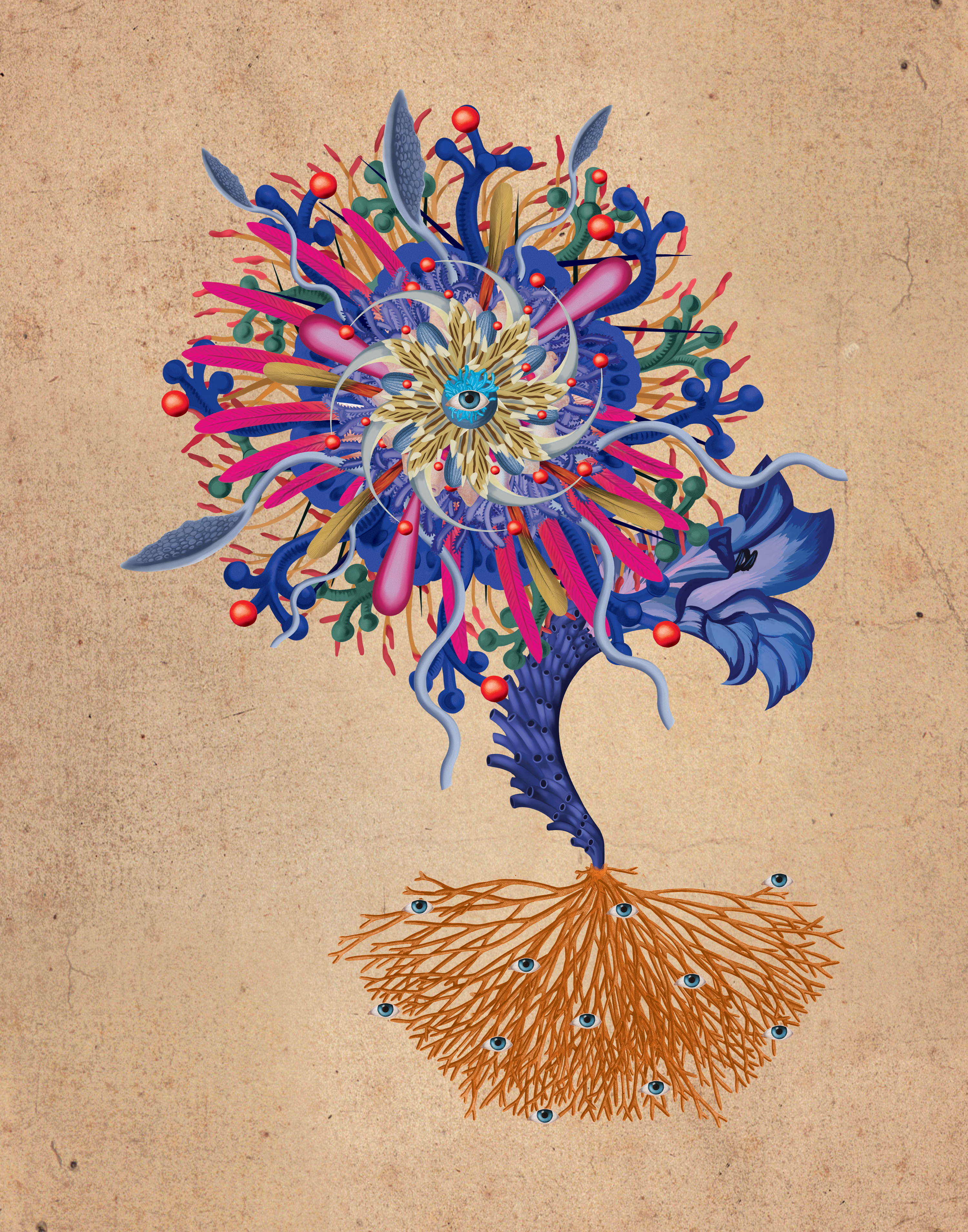 Regina Veneris cover