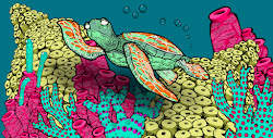 Turtledee of Ho’okipa Beach cover