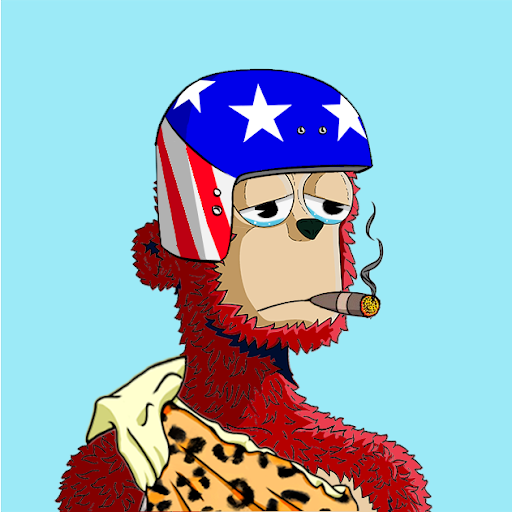 y00ts Yacht Club#4013 cover