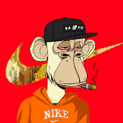 NIKE APE #52 cover