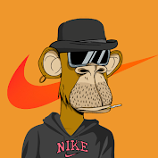 NIKE APE #44 cover