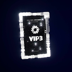 VIP3 SBT#3516 cover