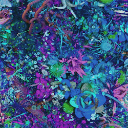EXPONENTIAL GROWTH _ AP cover