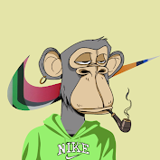 NIKE APE #49 cover