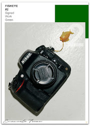 FISHEYE #2 cover